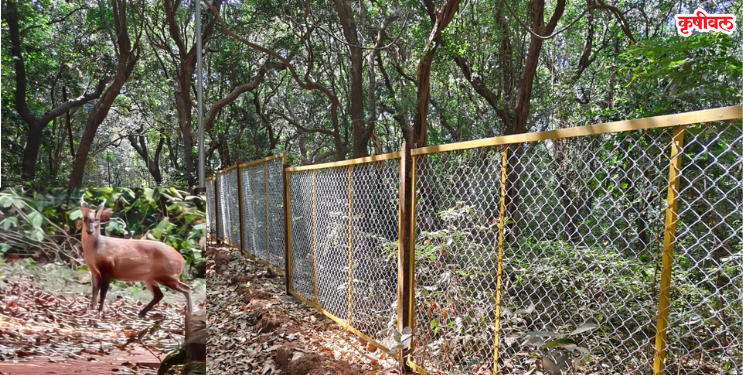 जंगली प्राण्यांच्या मुक्त संचारावर कुंपणाची गदा