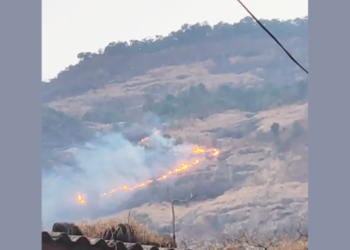 वणव्यात माथेरान डोंगर होरपळला