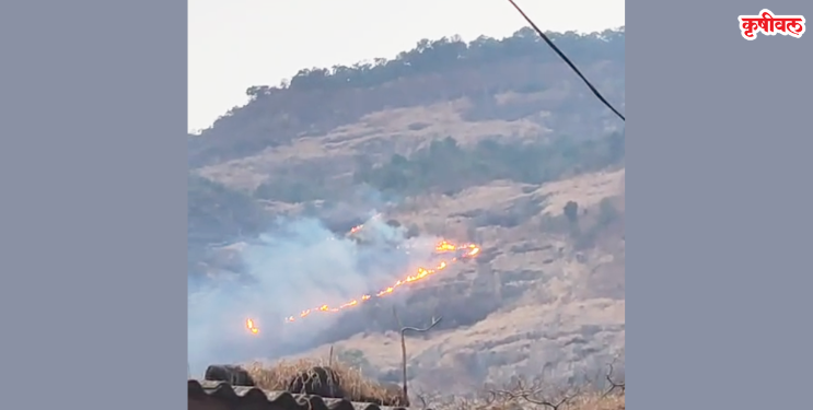 वणव्यात माथेरान डोंगर होरपळला