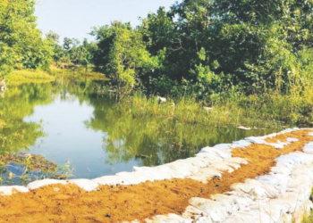 ग्रामस्थांच्या सहभागातून वनराईची उभारणी