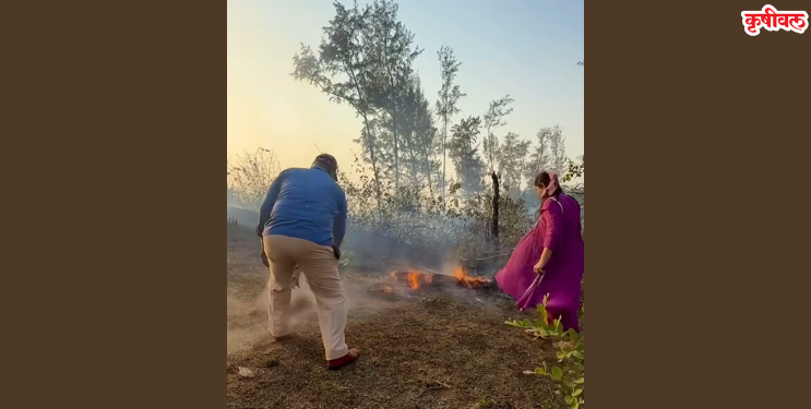 नागाव बंदरावर आगीचा भडका