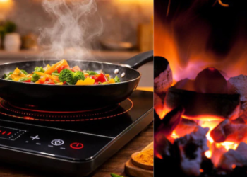 कोळसा, ईलेक्ट्रिक शेगड्यांना मागणी