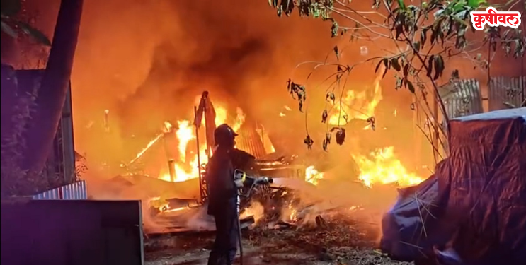 रिकाम्या प्लॉटमध्ये लागली आग