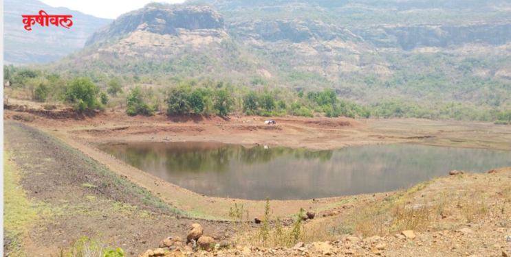पाझर तलावांमध्ये 50 टक्के जलसाठा