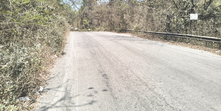 मुख्य रस्त्यावरील पांढरे पट्टे गायब