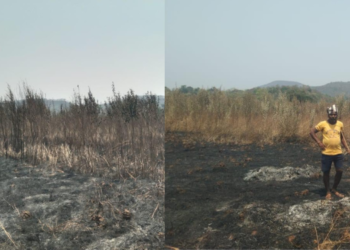 वणव्यामुळे शेतकऱ्यांचे नुकसान