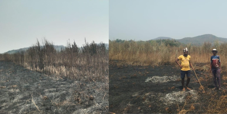 वणव्यामुळे शेतकऱ्यांचे नुकसान