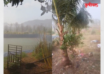 पोलादपुरात अवकाळी पाऊस