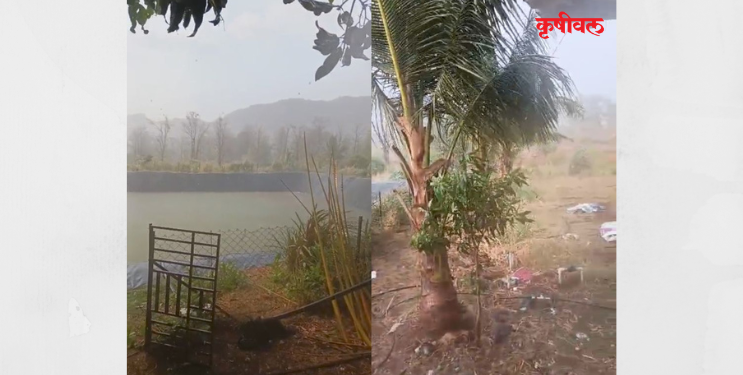 पोलादपुरात अवकाळी पाऊस