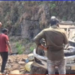 घोणशे घाटात भीषण अपघात