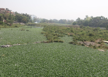 गाढी नदी प्रदूषणमुक्ती फक्त कागदावरच