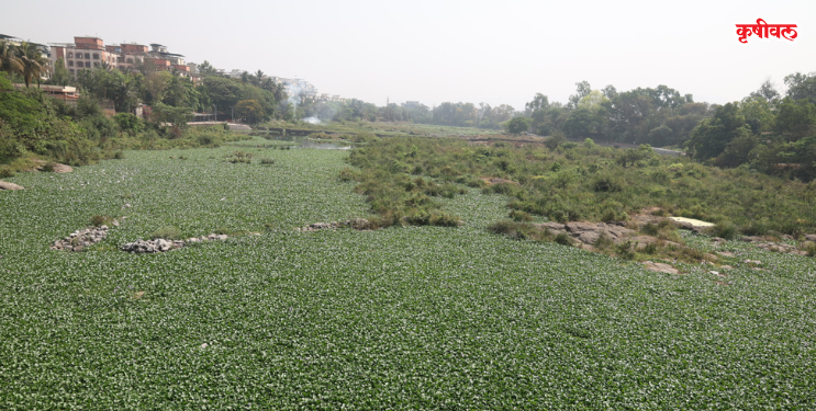 गाढी नदी प्रदूषणमुक्ती फक्त कागदावरच