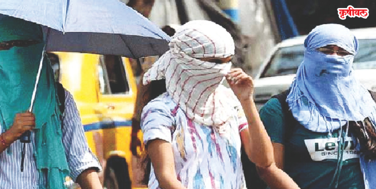 उन्हाळ्याच्या झळा झाल्या असह्य