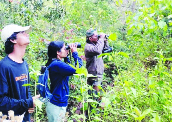 फणसाड अभयारण्यात 46 पक्ष्यांच्या नोंदी