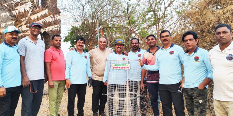 द्रोणागिरी गडावर नवी कचराकुंडी