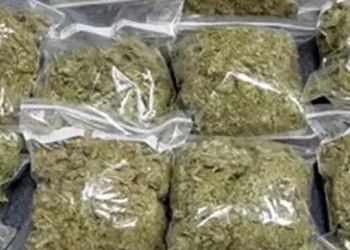 पेण शहरात गांजा विक्रीला उधाण