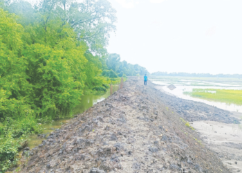 खारबंदिस्तीचा प्रश्न पेटला