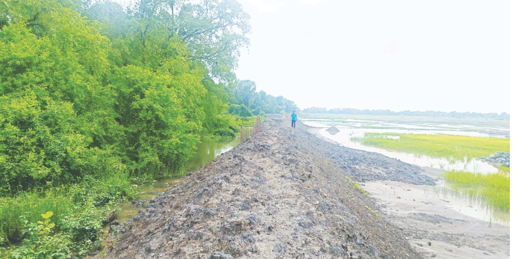 खारबंदिस्तीचा प्रश्न पेटला