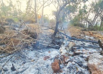 आंबेवाडी गावातील डोंगराला वणवा