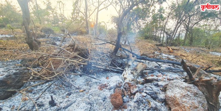 आंबेवाडी गावातील डोंगराला वणवा