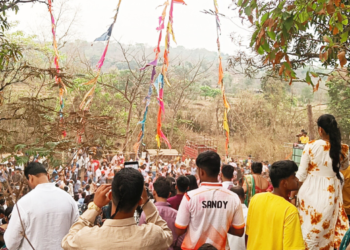 वरदायनी देवीची यात्रा उत्साहात