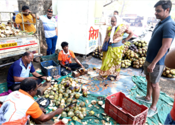 उन्हात ताडगोळ्यांचा आधार