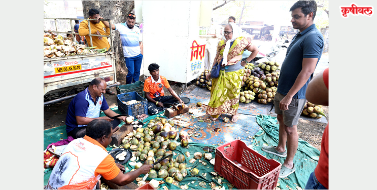 उन्हात ताडगोळ्यांचा आधार