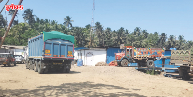 पाल्हे पुलावर जीवघेणा ताण!