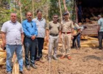 मुंबई-अहमदाबाद महामार्गाने खैर लाकडाची तस्करी