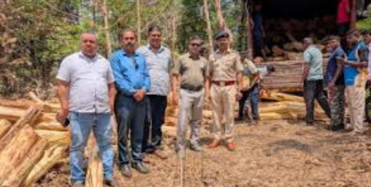 मुंबई-अहमदाबाद महामार्गाने खैर लाकडाची तस्करी