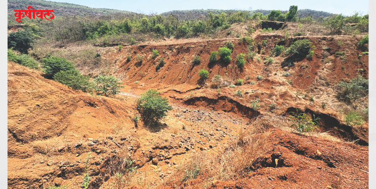 नागलोली धरणाचा बोजवारा; कोट्यवधींचा निधी वाया?