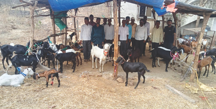 शेतकऱ्यांना शेळी पालनाचे प्रशिक्षण