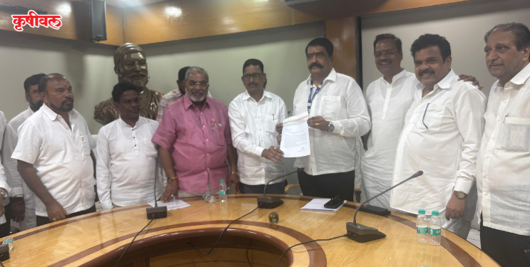 कर्नाटकी आंब्याचे हापूसवर अतिक्रमण