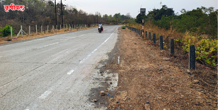 रस्त्यावरील सुरक्षा कठडे चोरीला