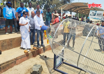 अलिबाग समुद्रकिनारी बॉटल बीन उपक्रम