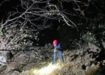 आंबेनळी घाटात 500 फूट दरीत कोसळलेल्या दांपत्याचे मृतदेह सापडले