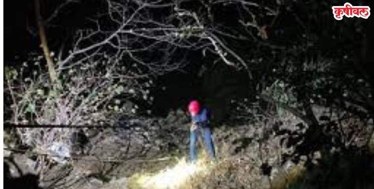 आंबेनळी घाटात 500 फूट दरीत कोसळलेल्या दांपत्याचे मृतदेह सापडले