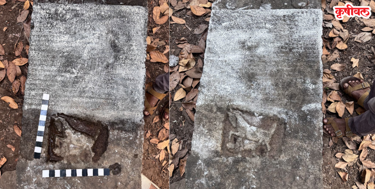 नांदगावात सापडला दुर्मिळ शिलालेख