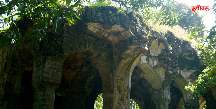 चौलच्या इतिहासाची साक्षीदार प्राचीन आसा मशिद दुरावस्थेत