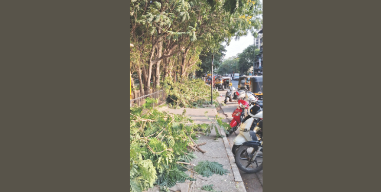 पावसाळ्यापूर्वी खांदा कॉलनीत वृक्ष छाटणी