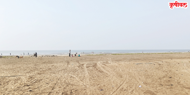 पर्यटकांविना समुद्रकिनारे ओस; सर्वत्र शुकशुकाट