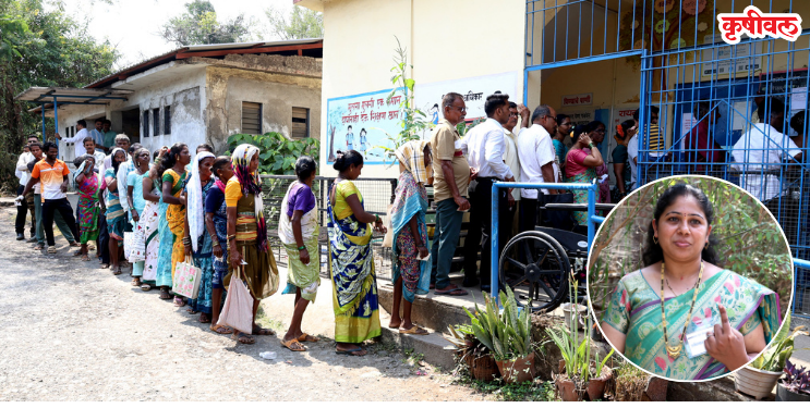 ग्रामपंचायत पोटनिवडणूक: साडेतीन वाजेपर्यंत 58.57 टक्के मतदान