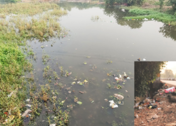 घंटागाड्या दारात, तरीही कचरा रस्त्यावर