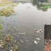 घंटागाड्या दारात, तरीही कचरा रस्त्यावर