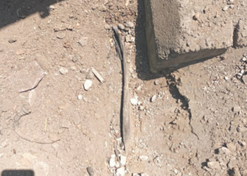 केबल कामादरम्यान कर्मचाऱ्याला शॉक