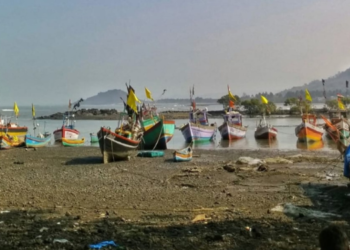 ताराबंदरातील कांदळवन कत्तलीवर प्रशासनाचे मौन