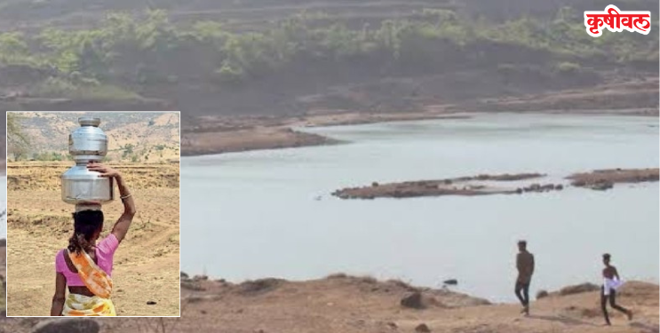 रानसई, पुनाडे धरणाचा पाणीसाठा अर्ध्यावर