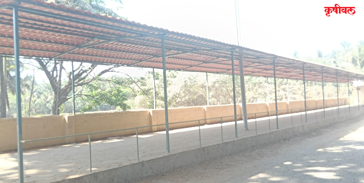 रेवदंड्यात मच्छी मार्केटच्या उद्घाटनावरून संभ्रम