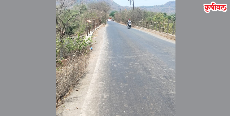 नवेदर बेली पुलावर अवजड वाहतूक सुरूच