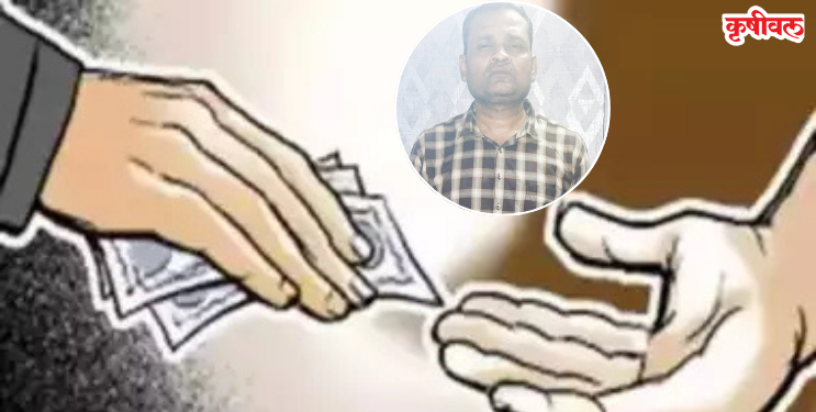 लाचखोर कर अधिकारी एसीबीच्या जाळ्यात